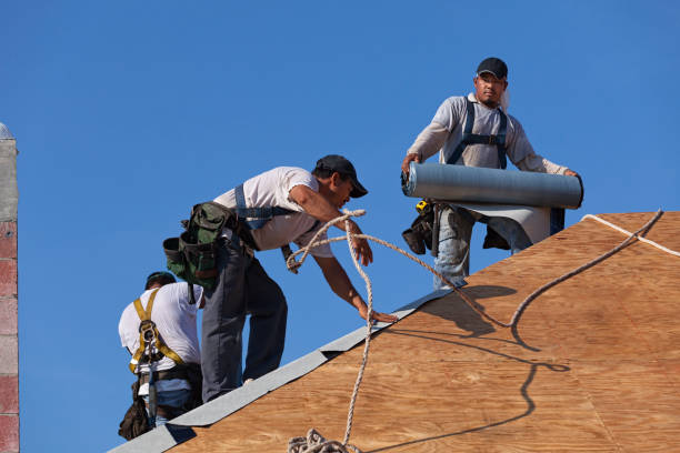 Best Shingle Roofing Installation  in Tomahawk, WI